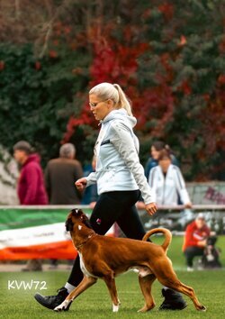 Bild 4 DM FCI IGP 2025 in Frankfurt