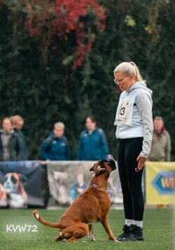 Bild 5 DM FCI IGP 2025 in Frankfurt