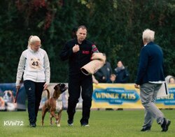 Bild 7 DM FCI IGP 2025 in Frankfurt